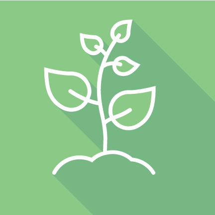 Draper Core Value: Growth